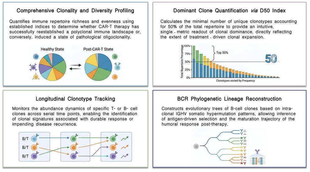 Featured services of post-CAR therapy BCR/TCR immune repertoire clonality & diversity analysis (BCR/TCR-Seq) at Creative Biolabs. (Creative Biolabs Original)